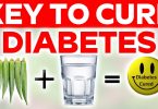 diabetes remedy and cure